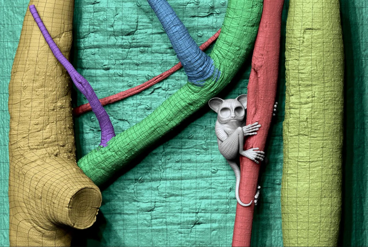 pablo-munoz-gomez-lost-creatures-little-jungle-glider-high-res.jpg [jpg-to-webp output image]