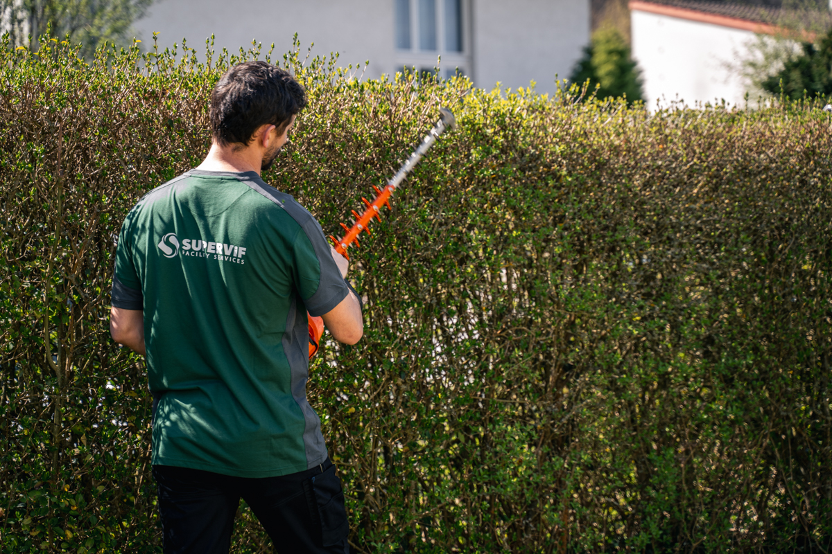 supervif mitarbeiter schneidet hecke