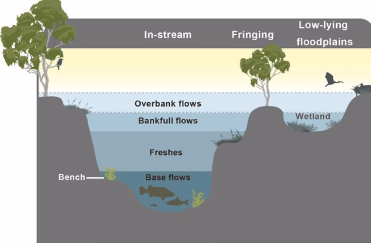 Cross-section diagram of a river channel showing flow levels from base flows to overbank flows, illustrating in-stream, fringing, and low-lying floodplain zones, including wetland and bench areas.