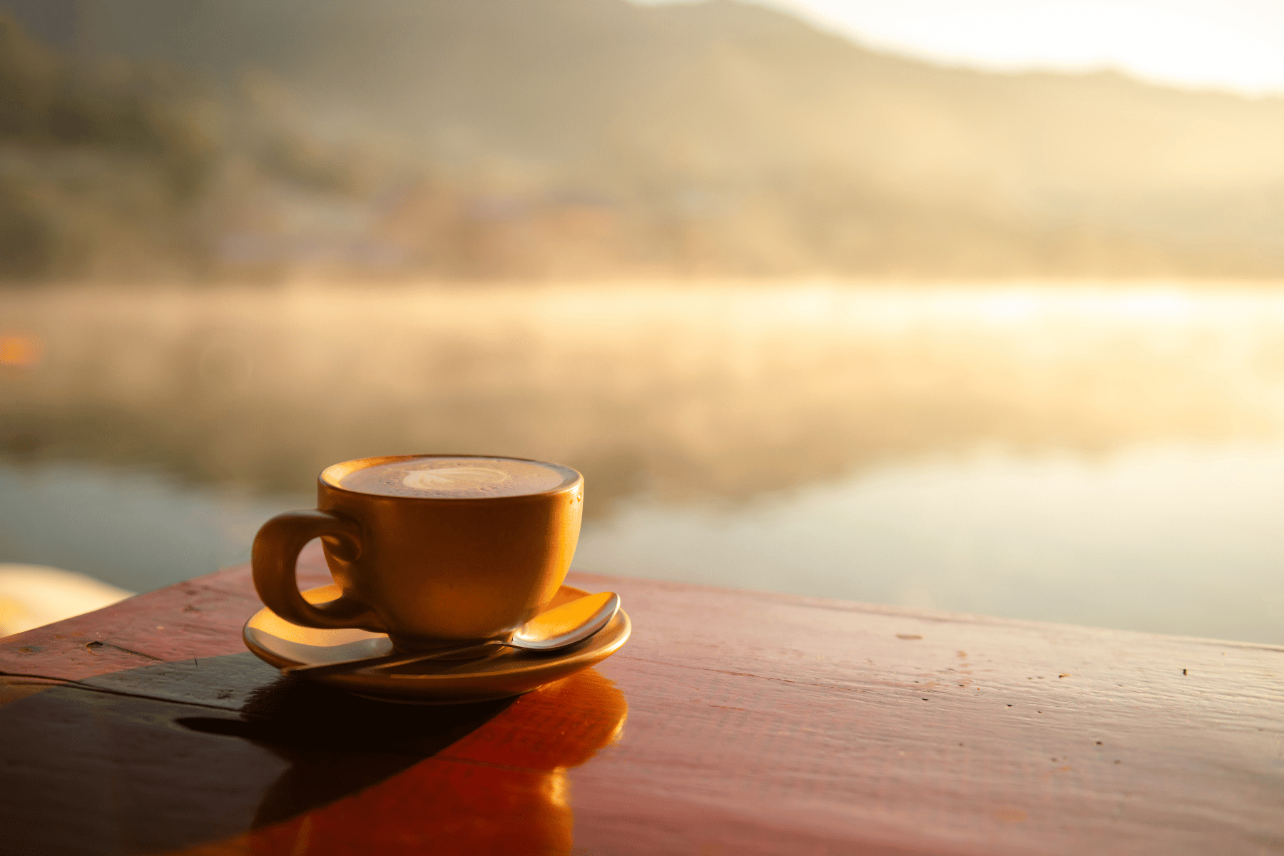 Coffee, Mushrooms and Mold: A Senior's Guide to Some New Coffee Fads