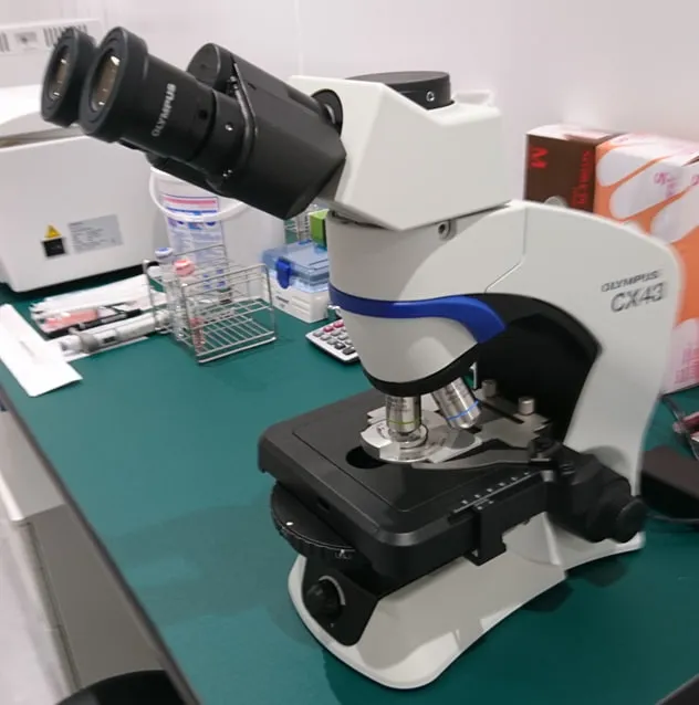 精液を検査する顕微鏡