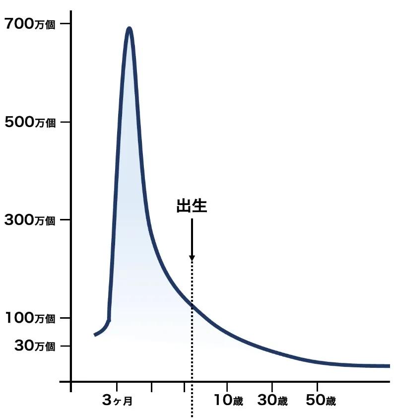 卵子の数のグラフ