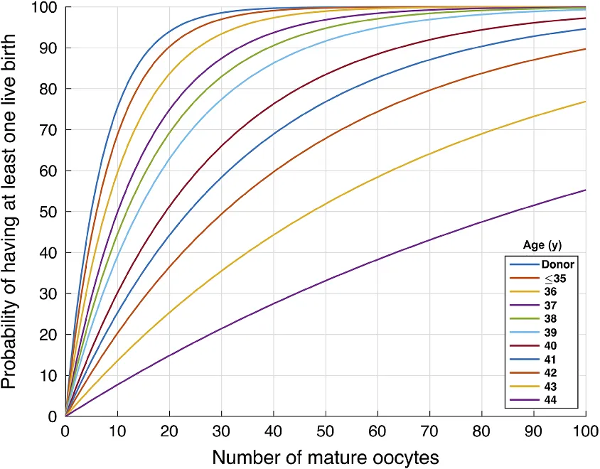 年齢別の未受精卵子数と生児獲得率