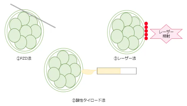 AHA(アシステッドハッチング)の方法