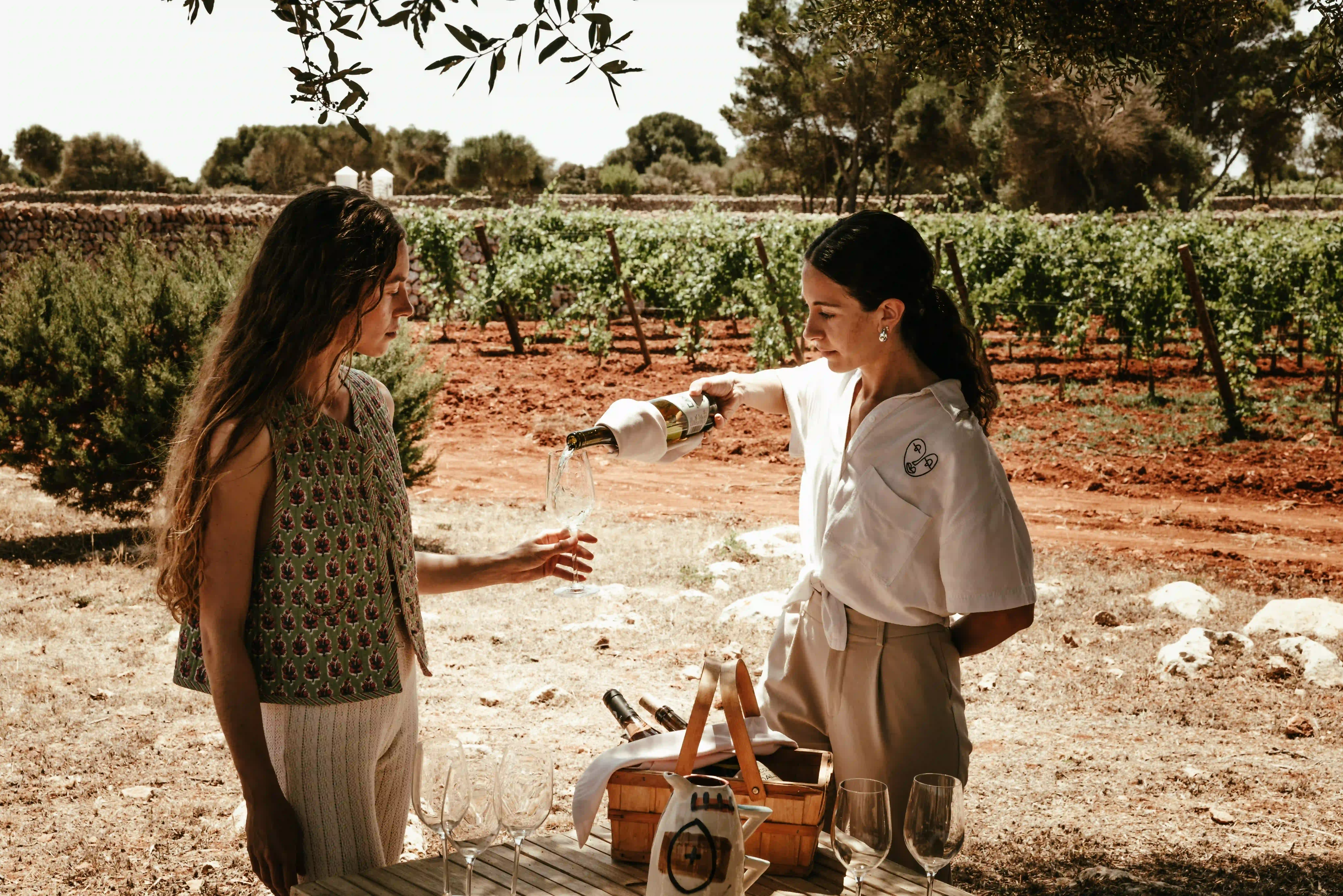 Menorca Experimental wine tasting in the vineyards