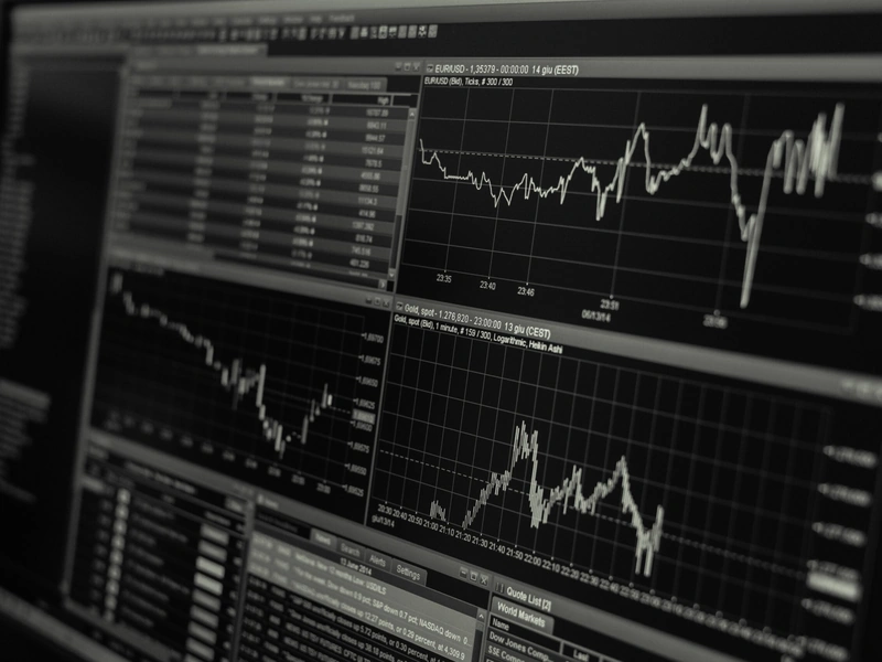 Computador screen which shows multi-tablas and graphics of financial data