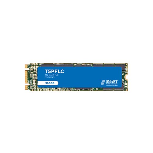 T5PFLC M.2 2280 SATA SSD product image
