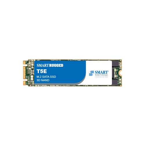 T5E M.2 2280 SATA SSD product image