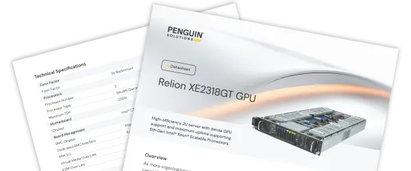 The Penguin Solutions® Relion® XE2318GT server.