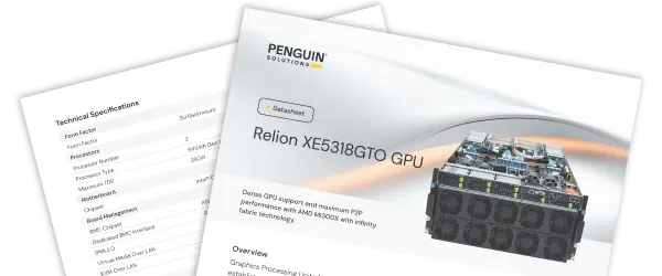 The Penguin Solutions® Relion® XE5318GTO server.