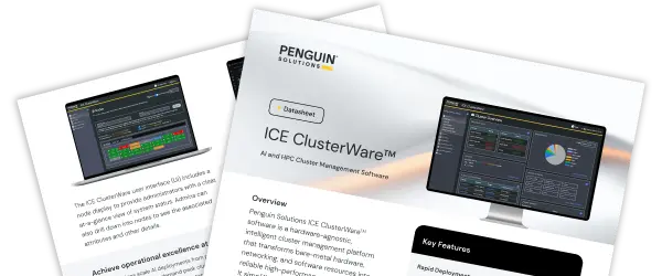 在电脑上运行的 ICE ClusterWare 软件