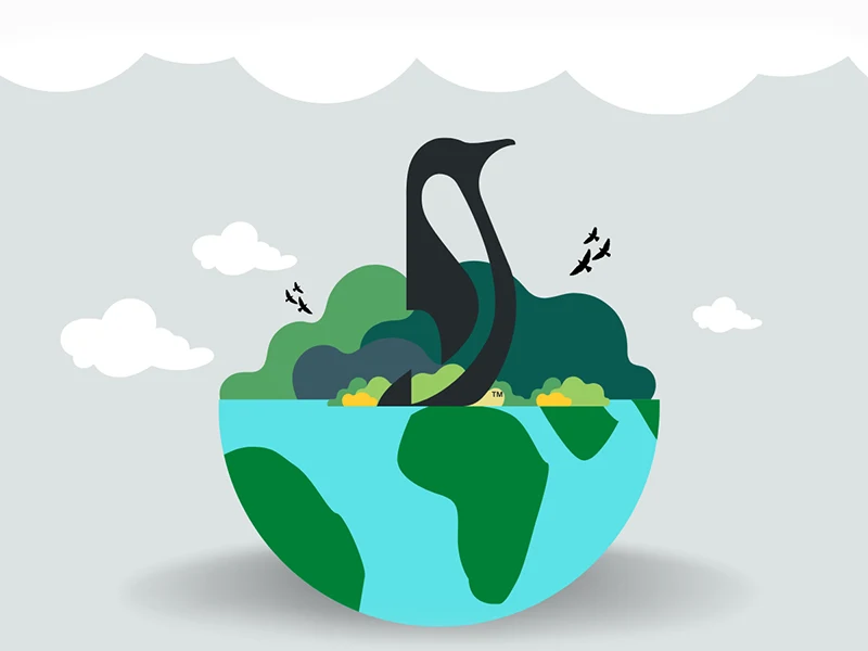 Penguin on top of world