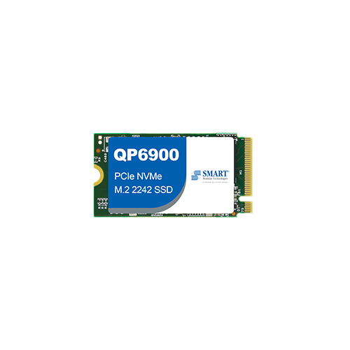 QP6900 | PCIe NVMe | M.2 2242 SSD