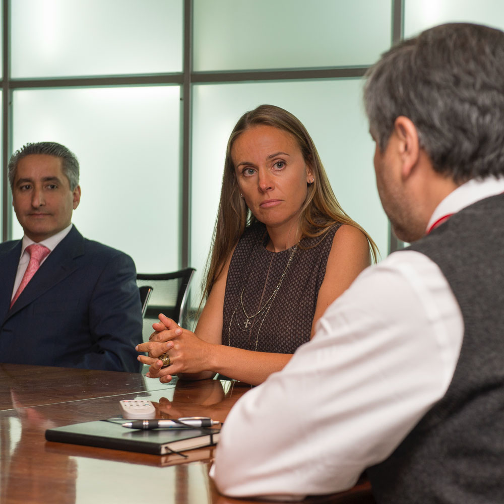 Dona Bertarelli in a meeting setting