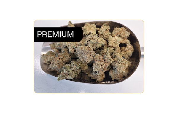 BALANCIAL CA-S1 BC Banana Cake - PREMIUM | in stock