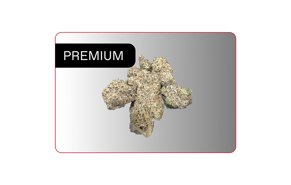 BALANCIAL CA-S1 DO - Devil's Oreoz - PREMIUM | in stock