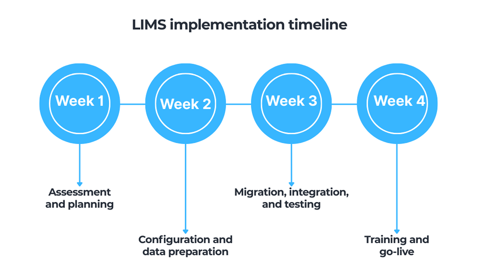 LIMS implementation timeline
