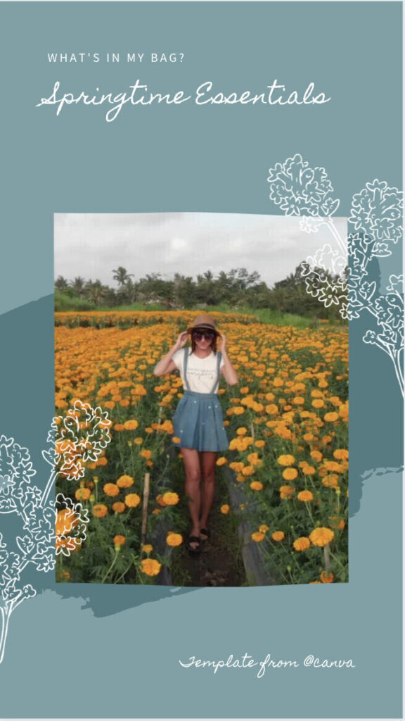 photo of girl in a flower field on instagram story