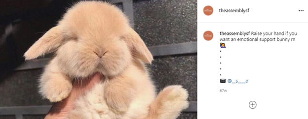 dropping an emoji for Instagram comments example
