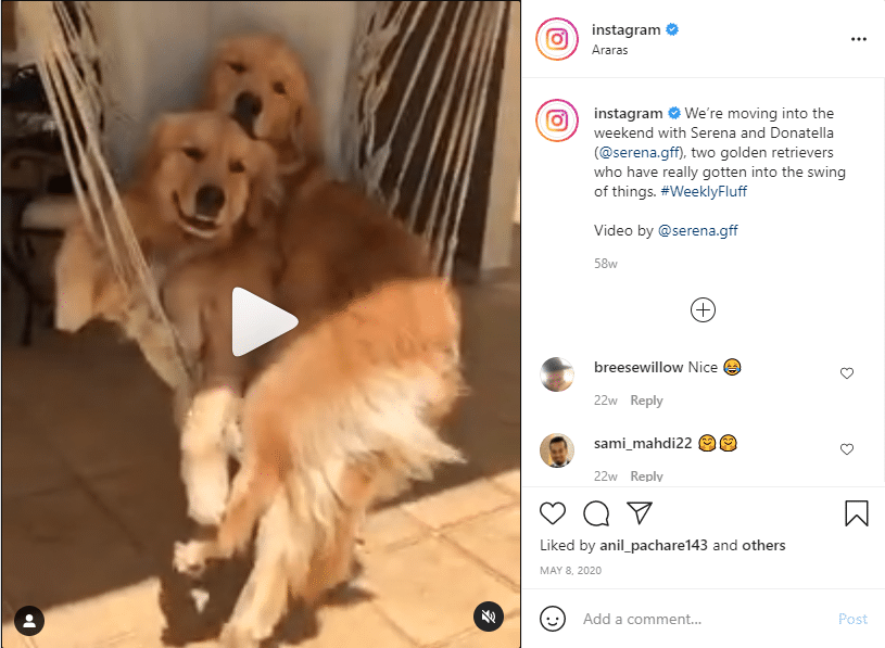 How To Repost on Instagram by IG Team