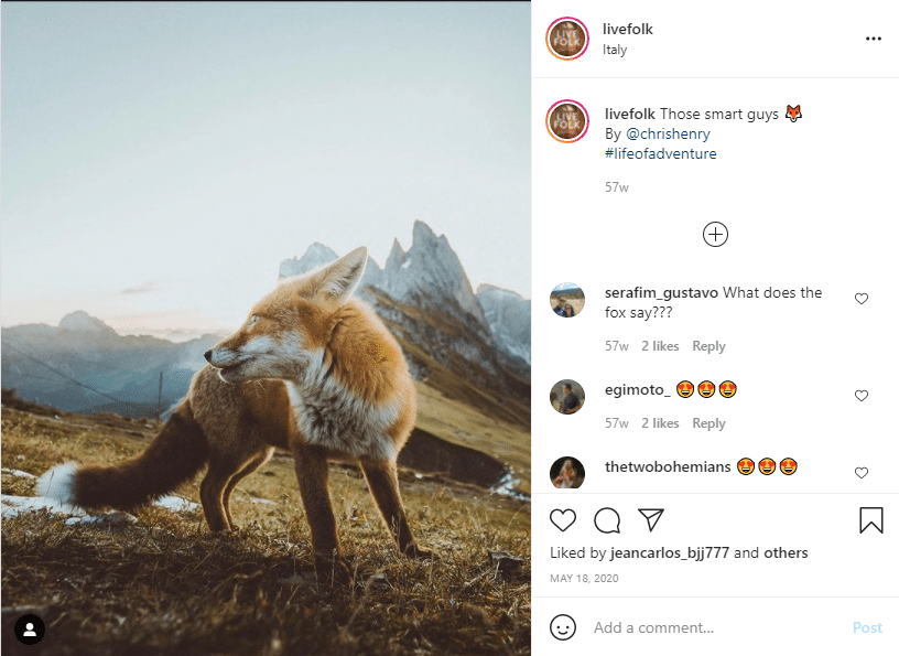 A repost of a fox