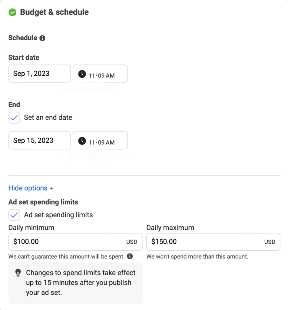 Budget and Schedule step in reel ad setup