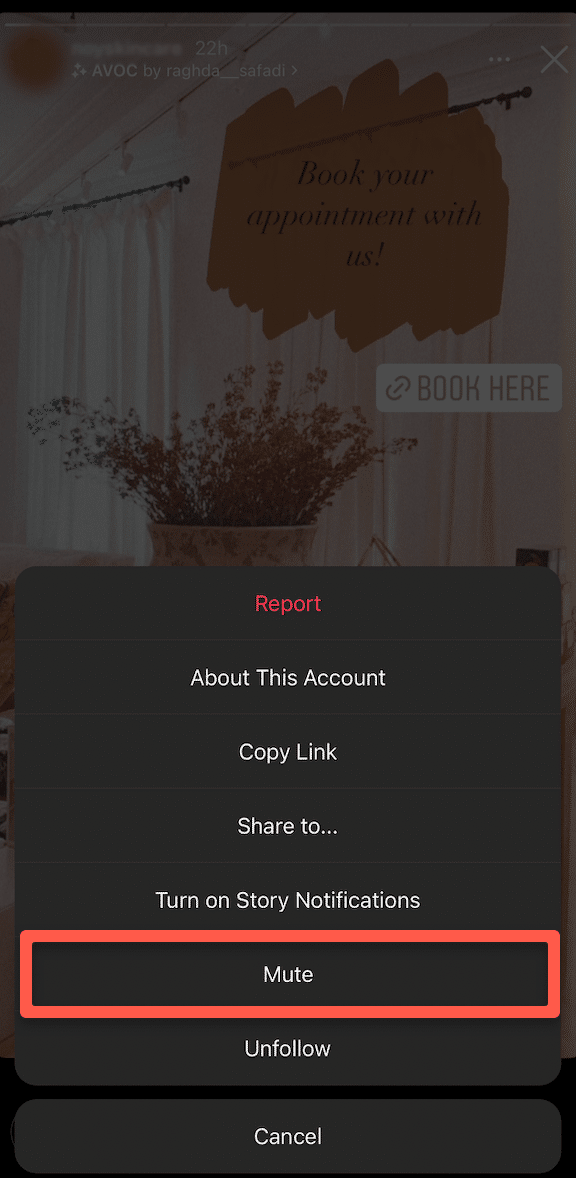 3rd option for muting someone's Instagram Story