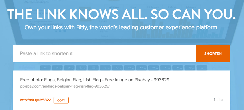 bitly screenshot - business on instagram