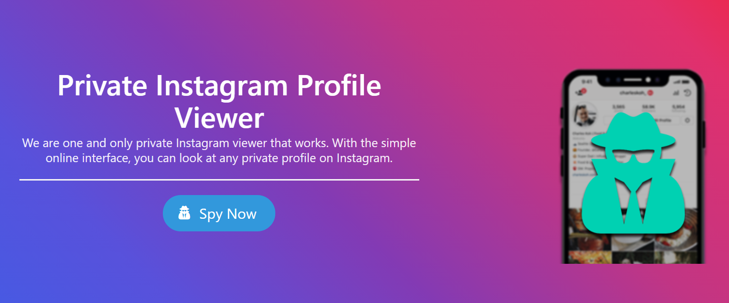 private instagram profile viewer