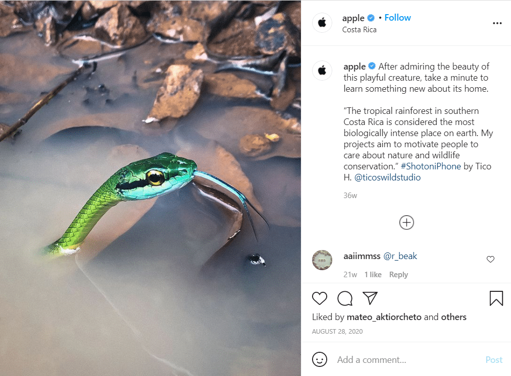 apple marketing on instagram