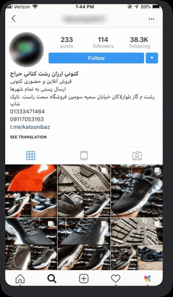 an account that has ghost followers on instagram example