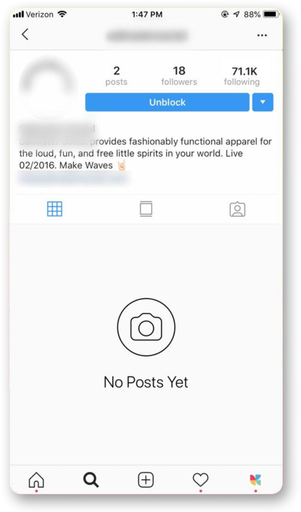 example of what ghost followers look like screenshot