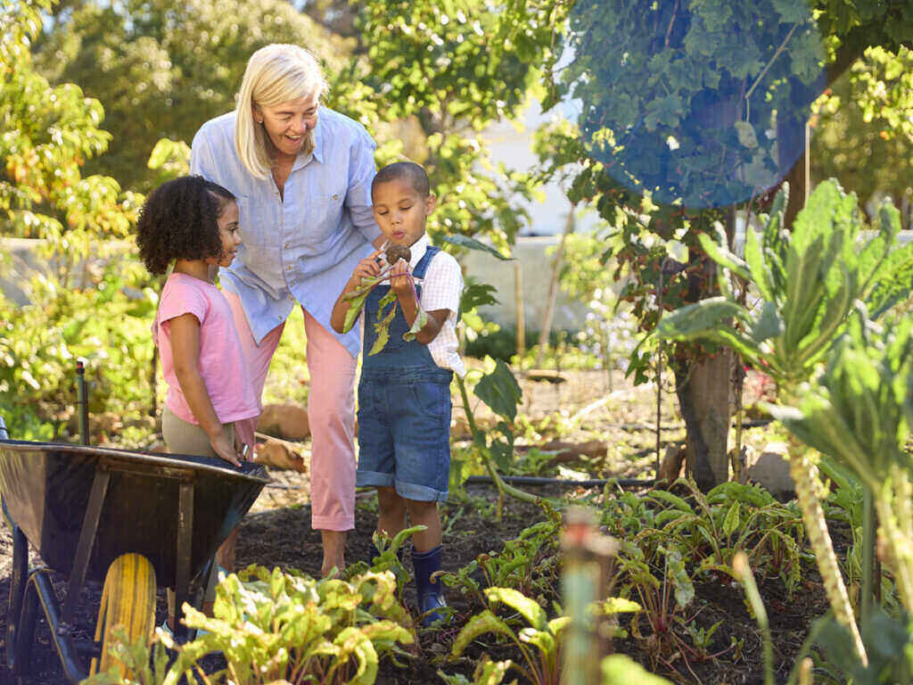 Grandchildren helping their grandma in her garden