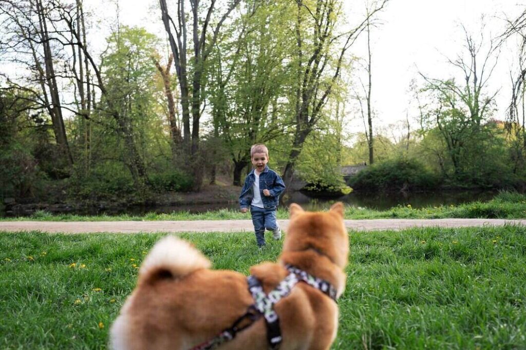 adventure with pets during warm weather