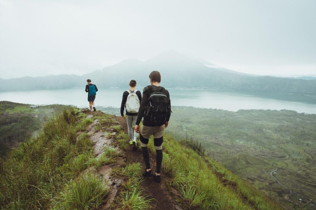 friends trekking in the swamp