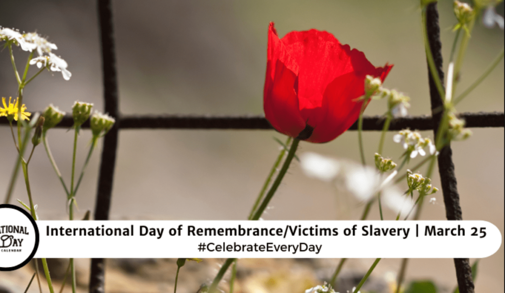 grieving for people we lost to slavery