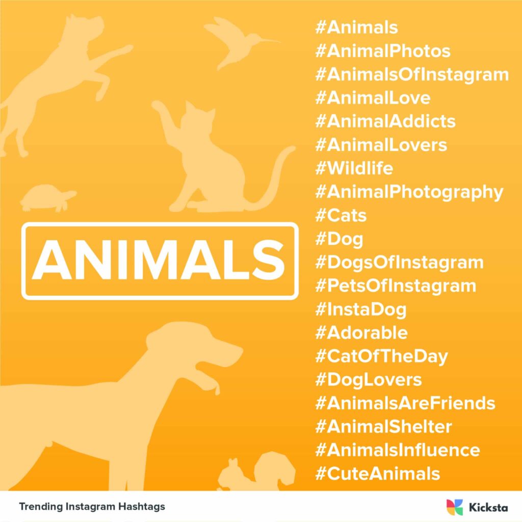 animals hashtags chart