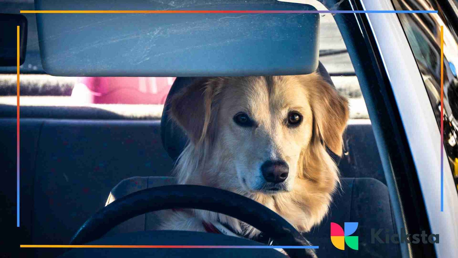 Dog sitting in the driver’s seat of a car