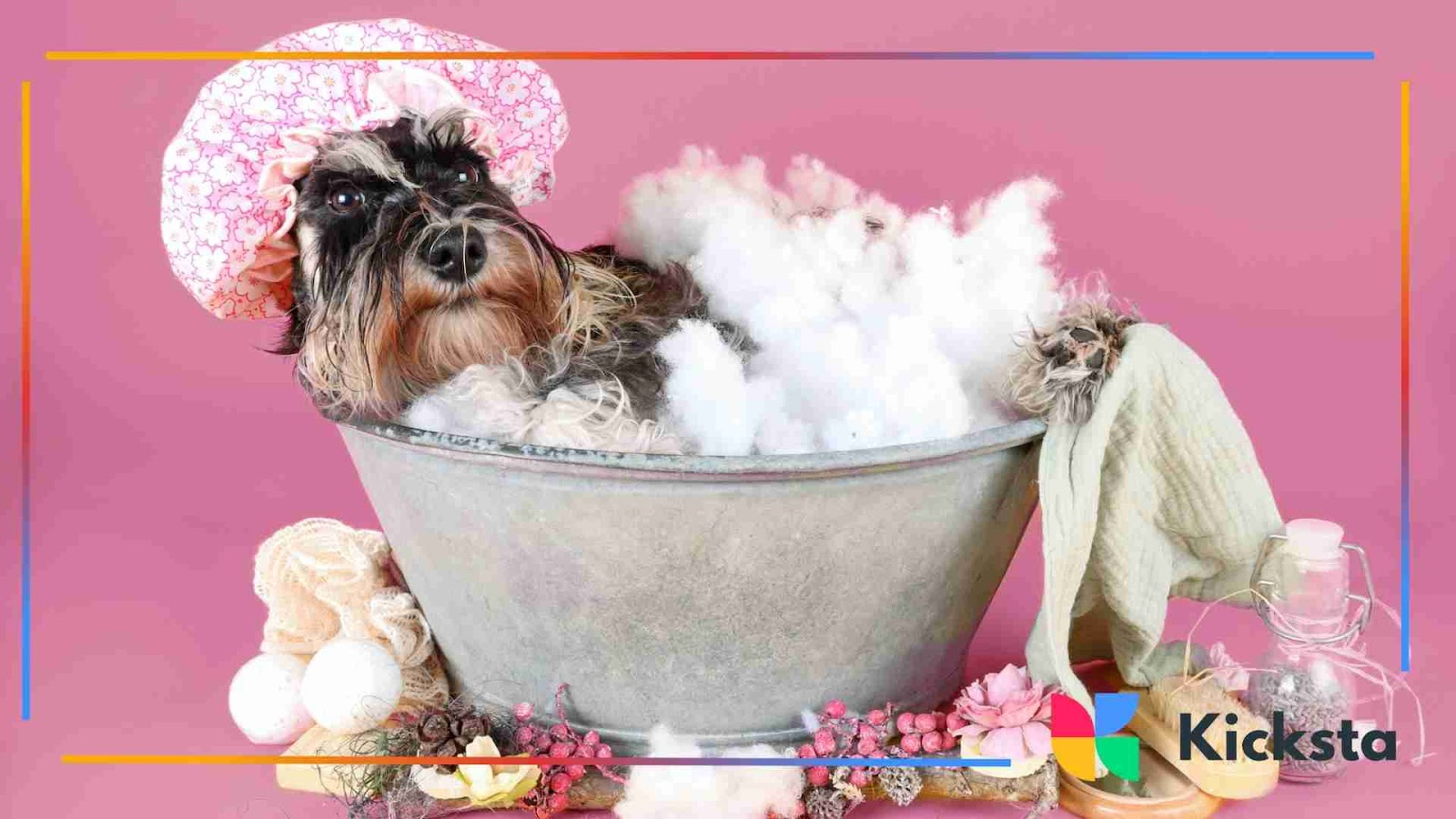 Dog in a spa bath with bubbles and a shower cap