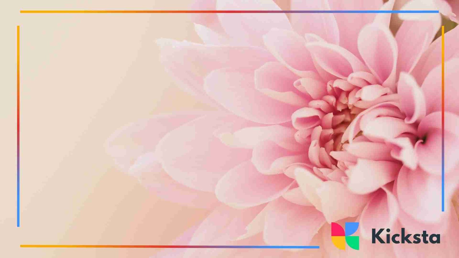 Soft pink flower close-up with delicate petals