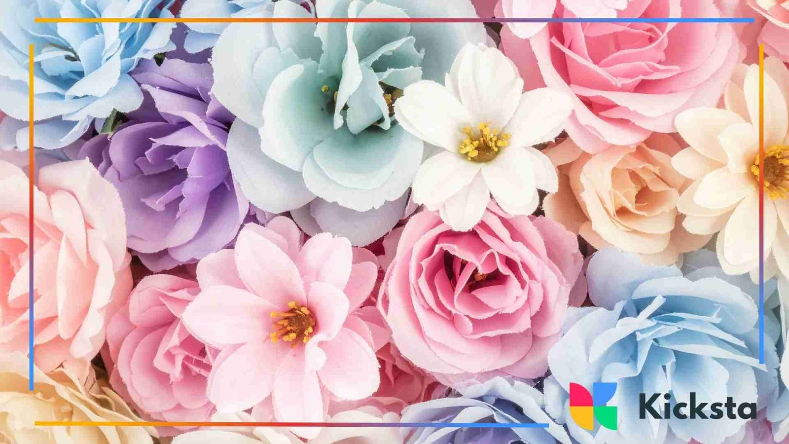 Colorful mix of pink, blue, and purple flowers close-up