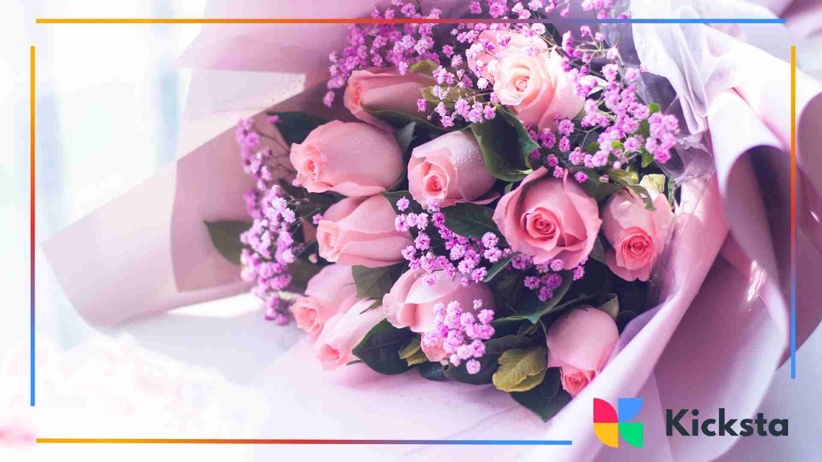Pink roses wrapped with purple baby’s breath