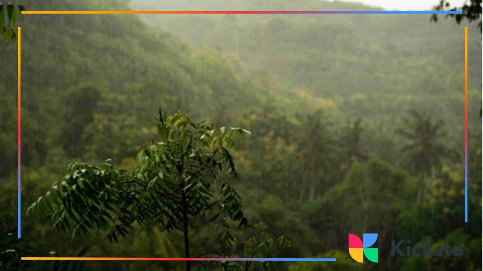 Green tropical forest with rainfall visible in the mist.