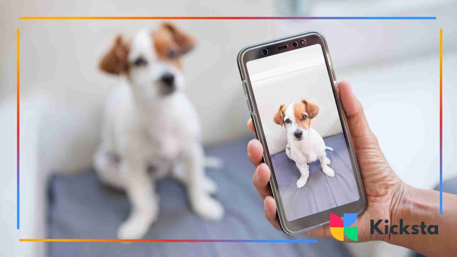 A person holding a smartphone showing a picture of a small brown and white dog sitting on a gray cushion, with the same dog blurred in the background