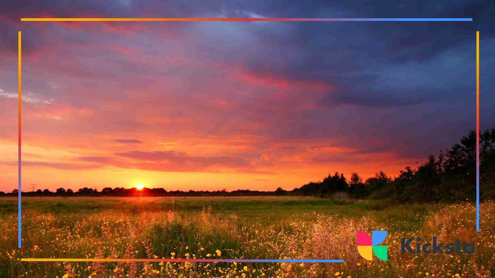A beautiful sunset over a field of wildflowers, with vibrant orange, pink, and purple hues lighting up the sky