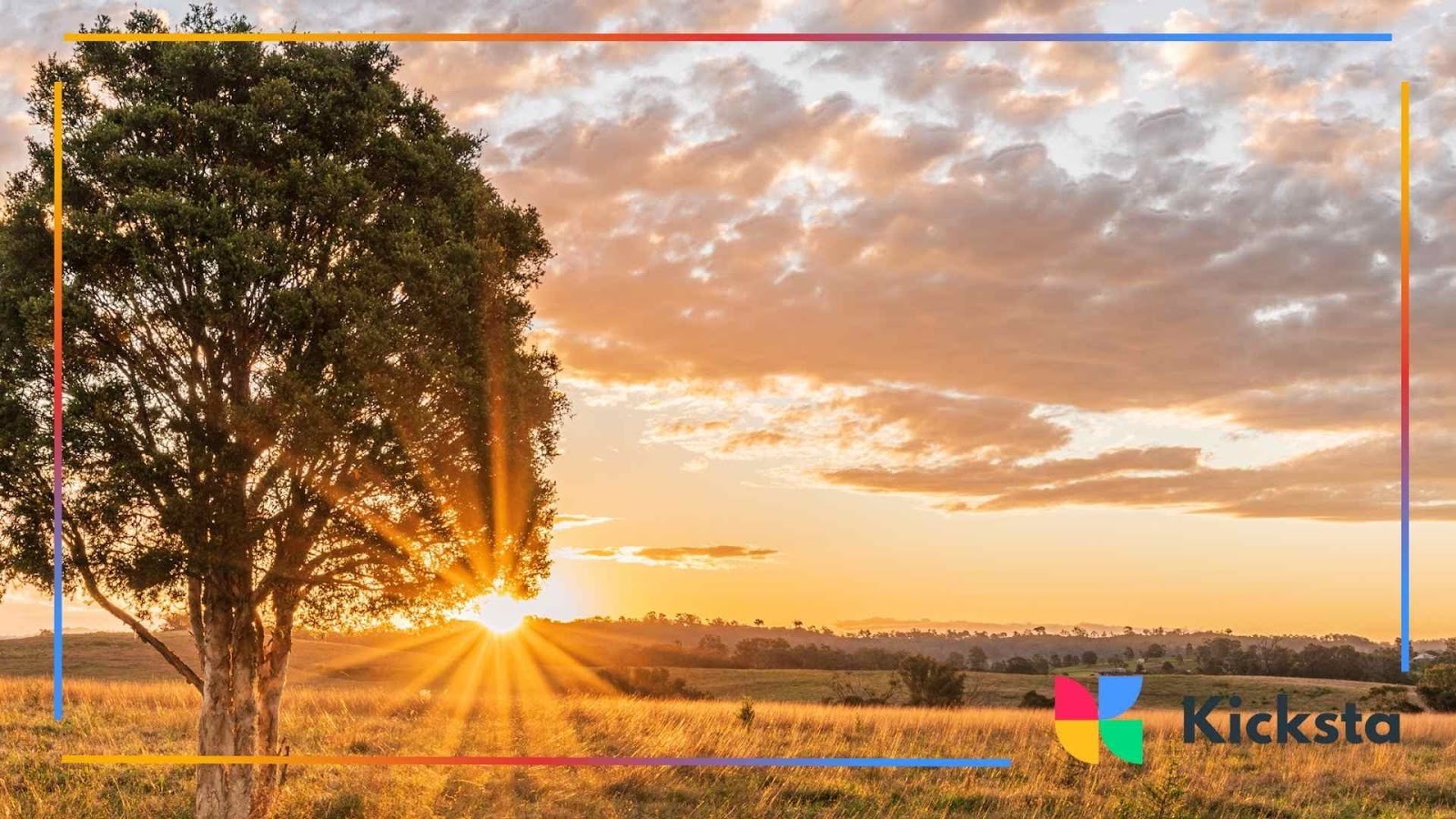 Lone tree in an open grassy field with the sun setting behind it, casting warm golden rays through the branches under a partly cloudy sky.
