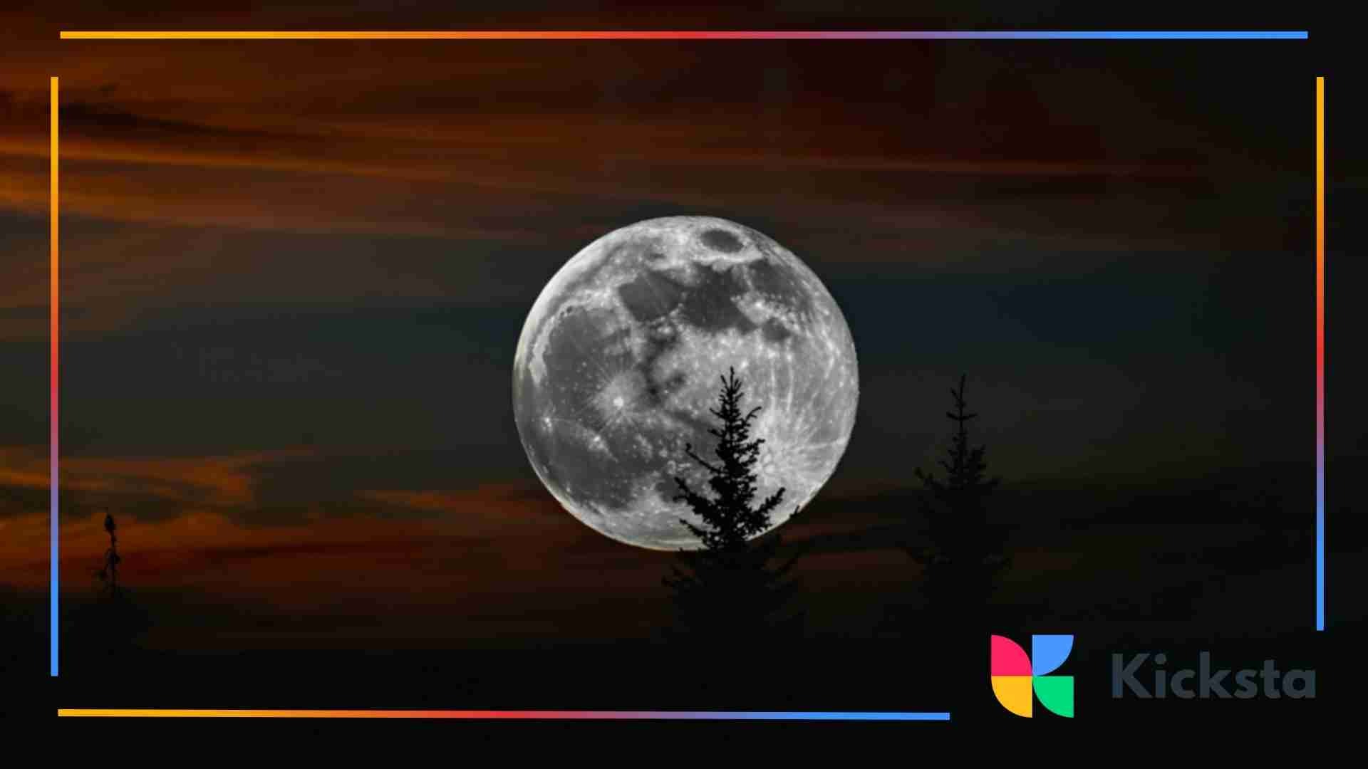 Large full moon rising behind tree silhouettes against a dark sunset sky.