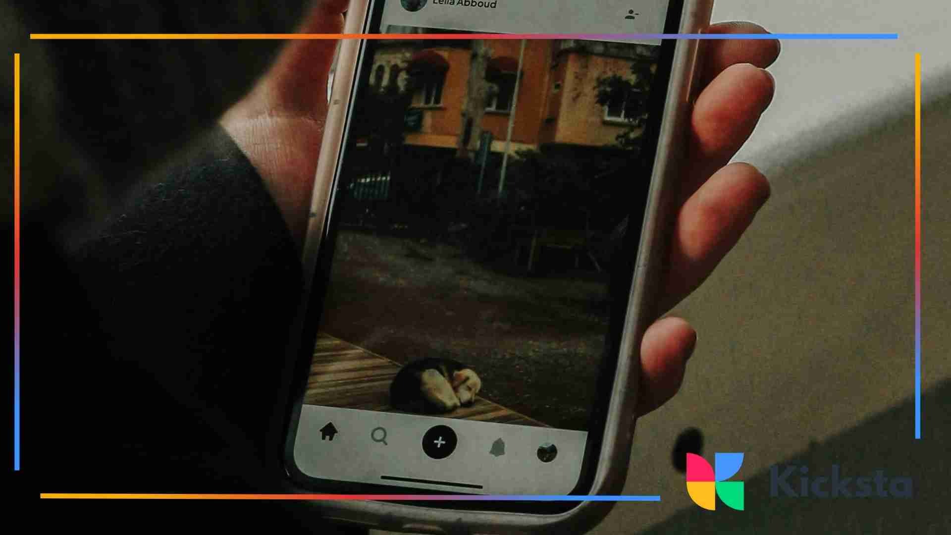 A person holding a smartphone showing an Instagram feed with a photo of a small dog lying on wooden planks.