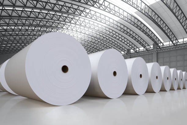 TMS Solutions: Transforming the Paper Industry