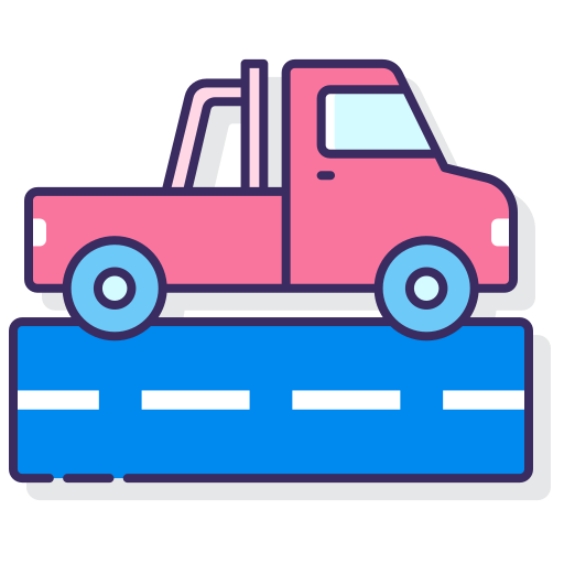 Roadside Emergencies